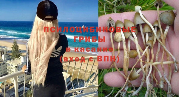 a pvp Беломорск