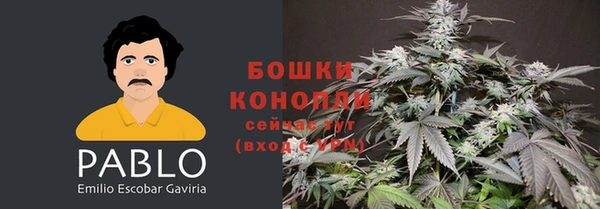 a pvp Беломорск