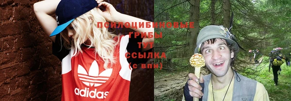 a pvp Беломорск
